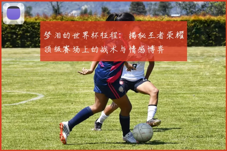 梦泪的世界杯征程：揭秘王者荣耀顶级赛场上的战术与情感博弈