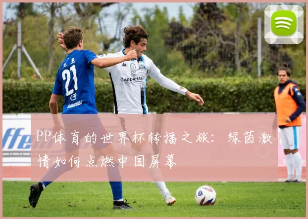 PP体育的世界杯转播之旅：绿茵激情如何点燃中国屏幕