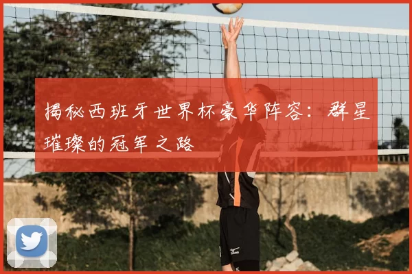 揭秘西班牙世界杯豪华阵容：群星璀璨的冠军之路