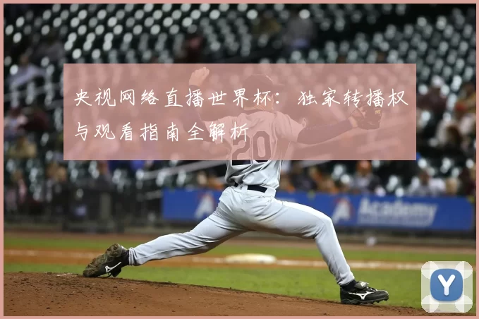 央视网络直播世界杯：独家转播权与观看指南全解析