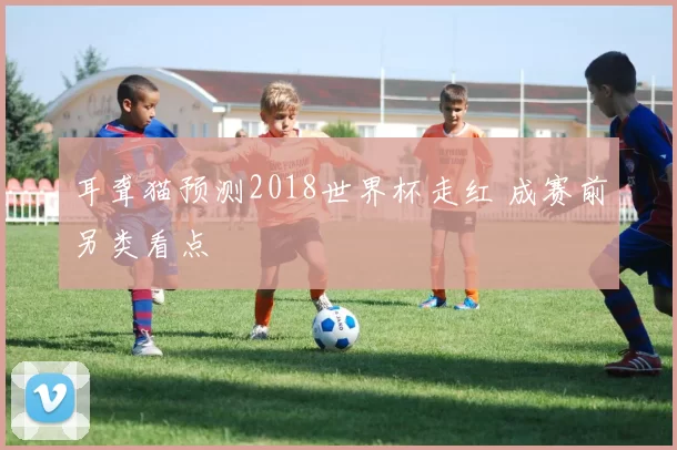 耳聋猫预测2018世界杯走红 成赛前另类看点