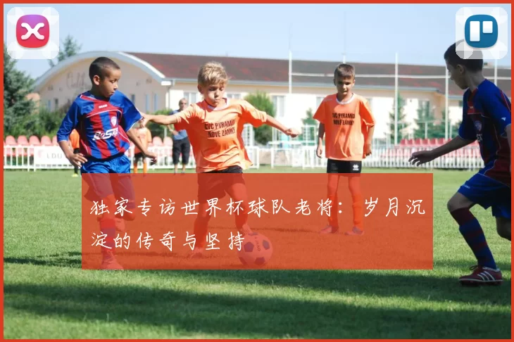 独家专访世界杯球队老将:岁月沉淀的传奇与坚持