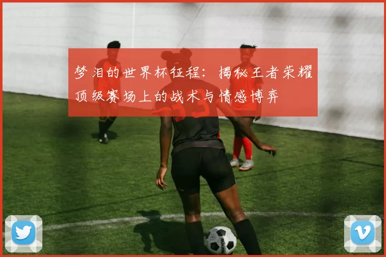 梦泪的世界杯征程:揭秘王者荣耀顶级赛场上的战术与情感博弈