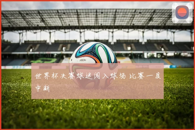 世界杯决赛球迷闯入球场 比赛一度中断
