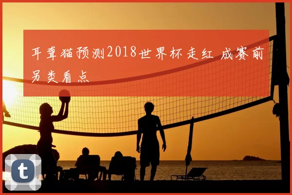 耳聋猫预测2018世界杯走红 成赛前另类看点