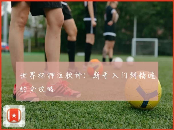 世界杯押注软件：新手入门到精通的全攻略