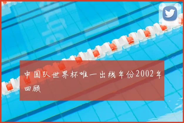 中国队世界杯唯一出线年份2002年回顾